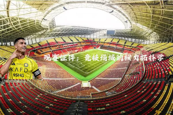 观赛证件：竞技场域的权力拓扑学